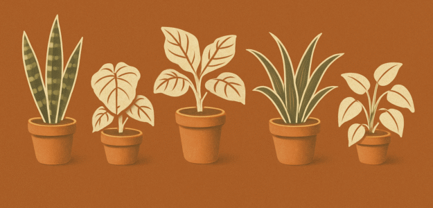 Grant's Plants